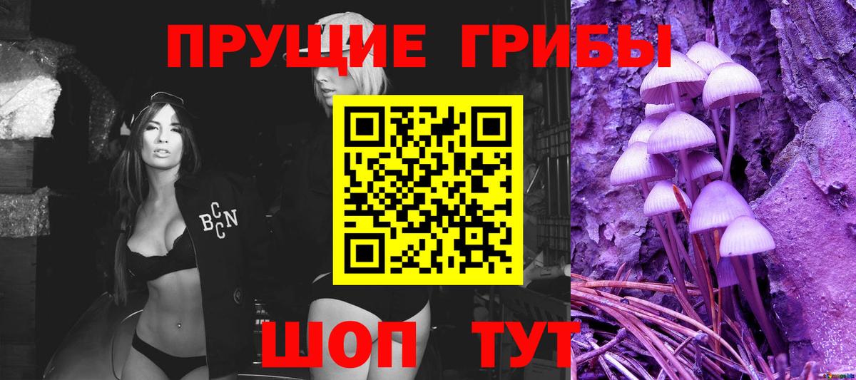 цена   Галлюциногенные грибы MAGIC MUSHROOMS  Вход с VPN  Дзержинск 